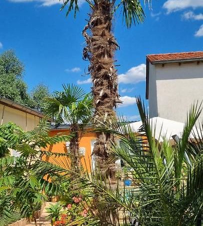 Grahl'S Ferienwohnung Markranstädt Esterno foto