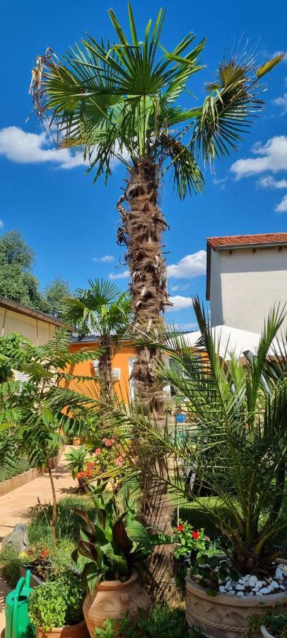 Grahl'S Ferienwohnung Markranstädt Esterno foto